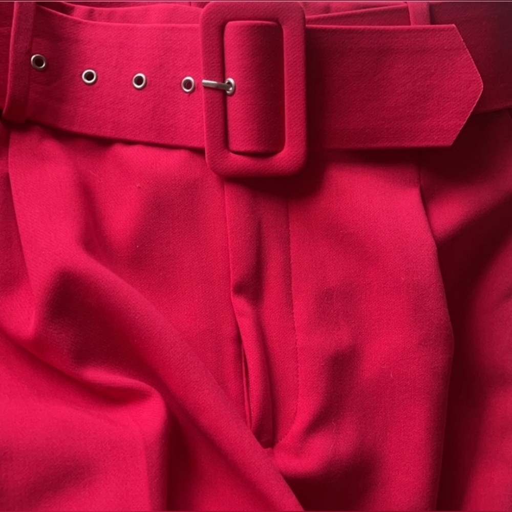Zara High Waisted Belt Pants